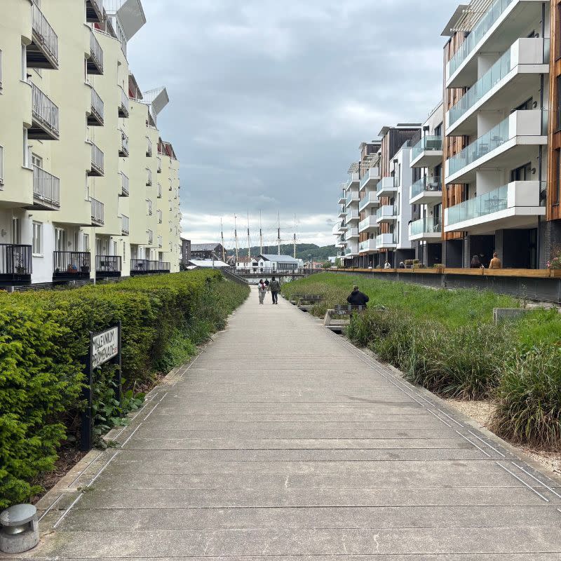 Millennium Promenade Social Story 4