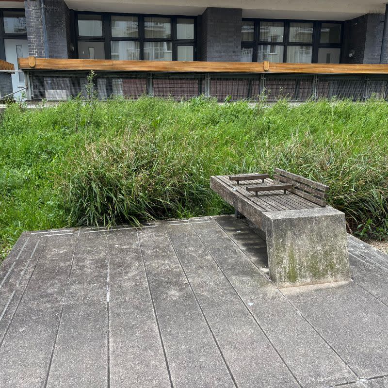 Millennium Promenade Social Story 5