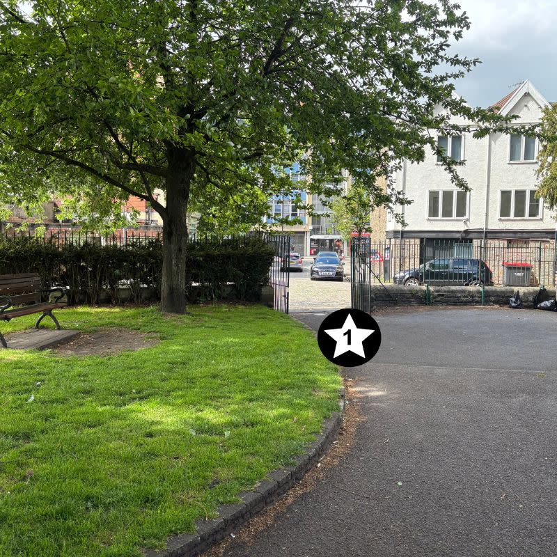 Temple Church Gardens Social Story Picture 11 - A photo of a curving path leading to a wide gate in a long green metal fence. There is an area of grass on the left and a mature leaft tree is growing in the grassy area.