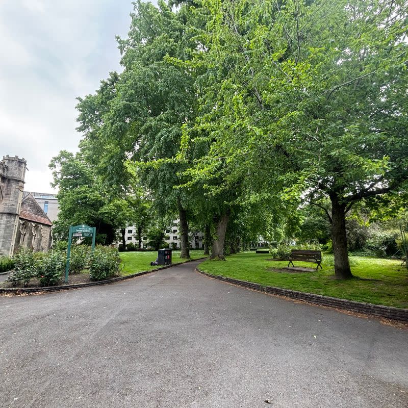 Temple Church Gardens Social Story Picture 5 - A photo of a wide paved areas leading to a narrower paved path. There are large shady trees on either side of the path and a bench on the right hand side on some grass.