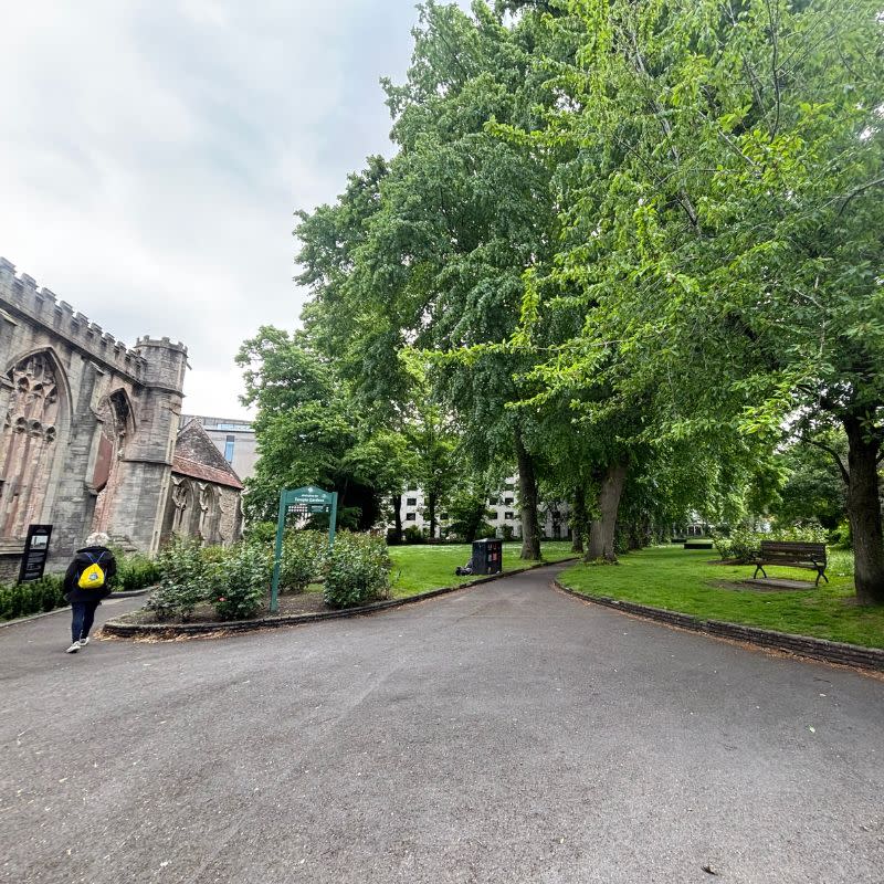Temple Church Gardens Social Story Picture 5 - A photo of a wide paved areas leading to a narrower paved path. There are large shady trees on either side of the path and a bench on the right hand side on some grass.