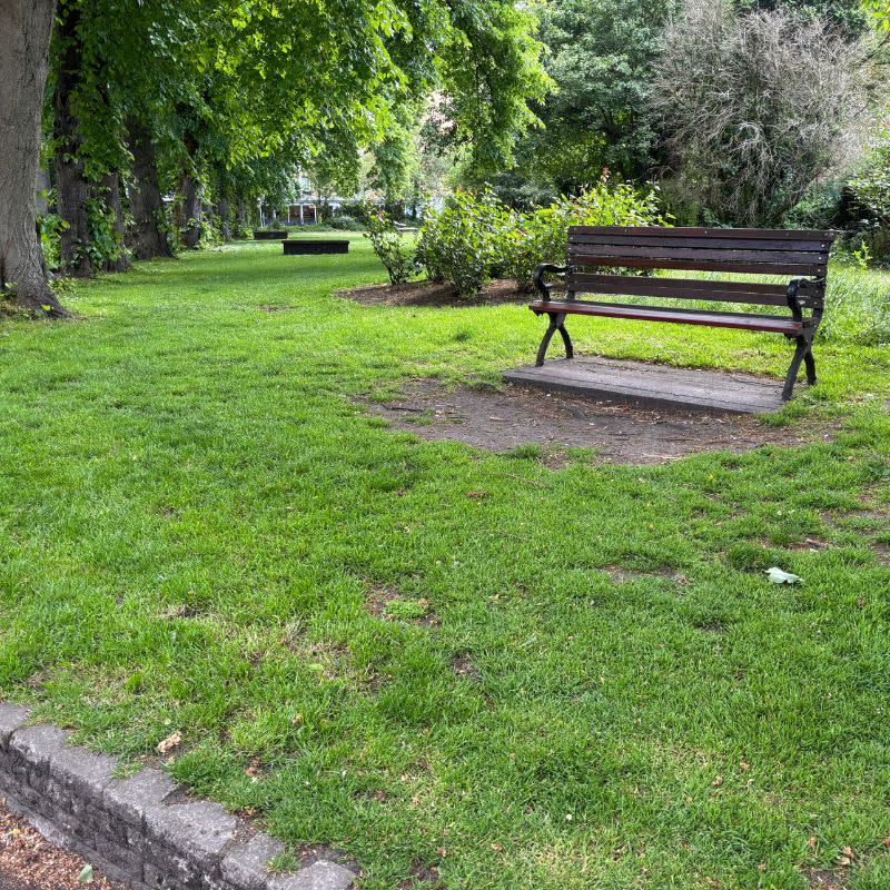 Temple Church Gardens Social Story Picture 6 - A photo of a wooden slatted bench in a gassy area.