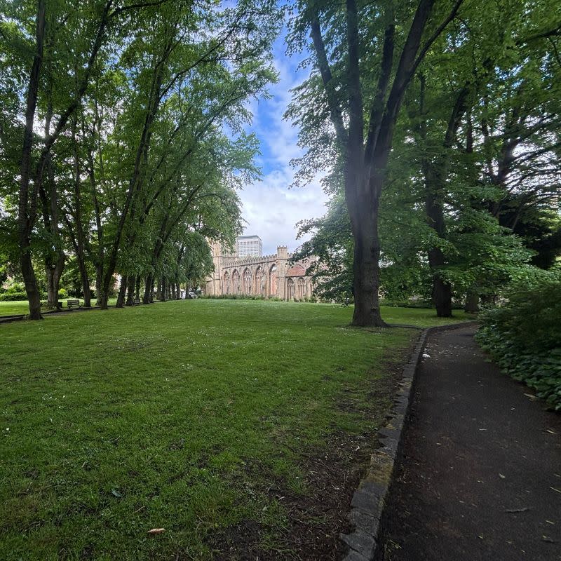 Temple Church Gardens Social Story Picture 8 - A photo of a grassy lawn area, with mature leafy trees running along each side and a church ruin at the far end in the distance.