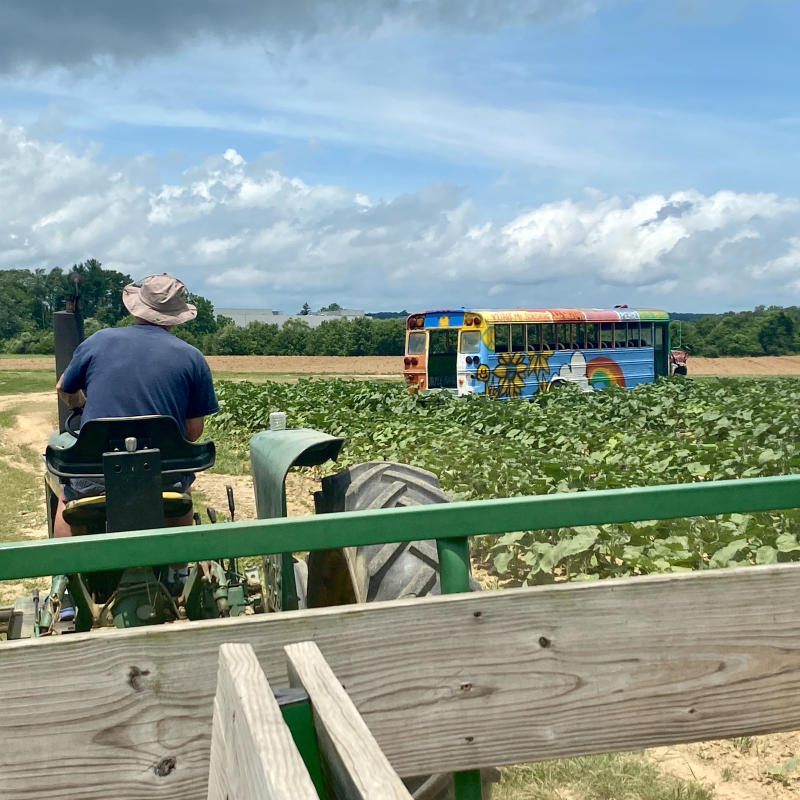 Shady Brook Farm blog post