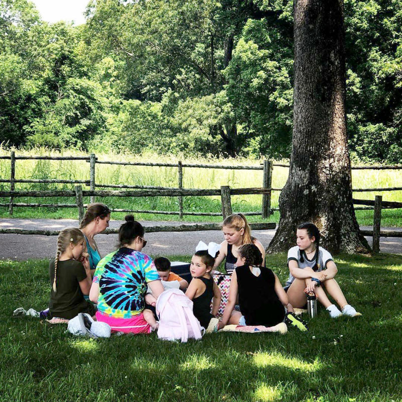 family having a picnic under a large tree