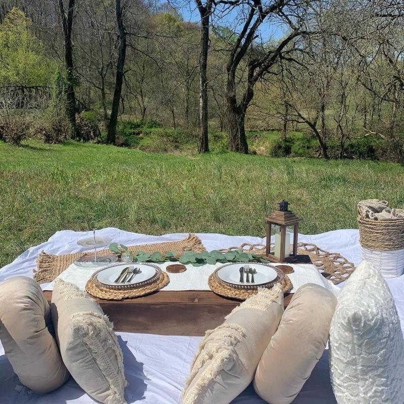 picnic setup in a park overlooking a river