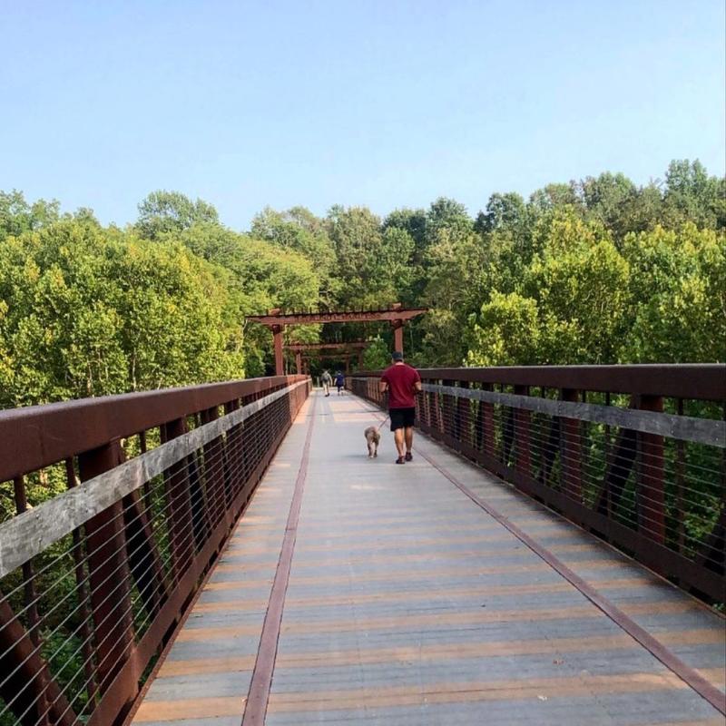 man and dog on a greenway bridge