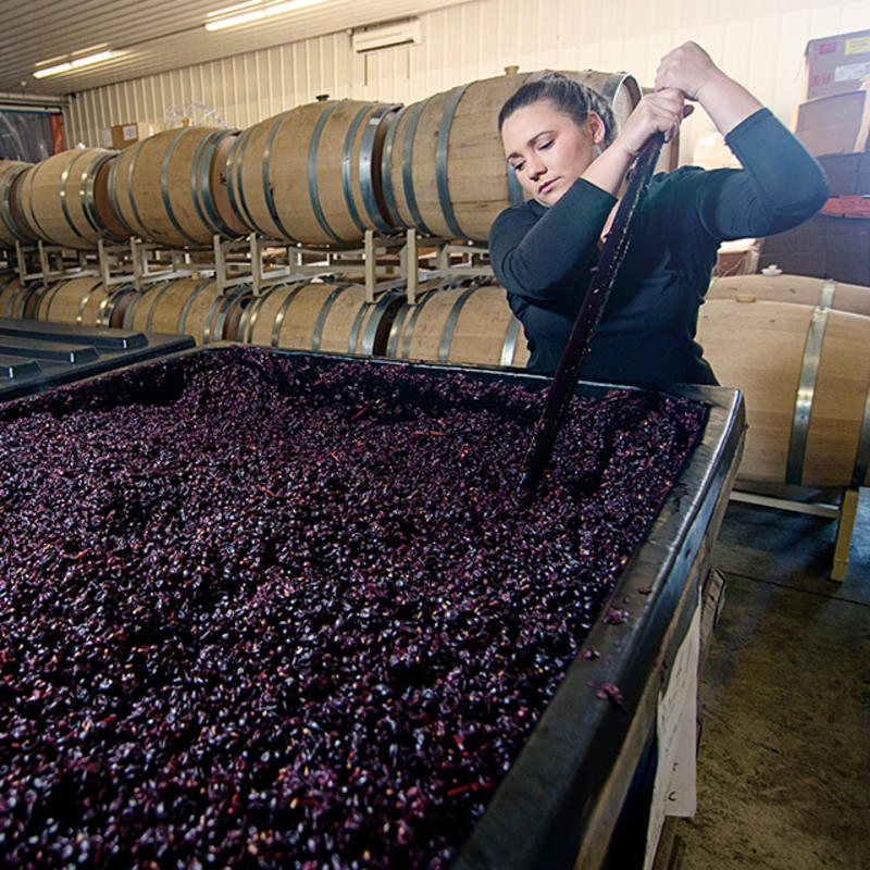 Abby Stamp, Lakewood Vineyards