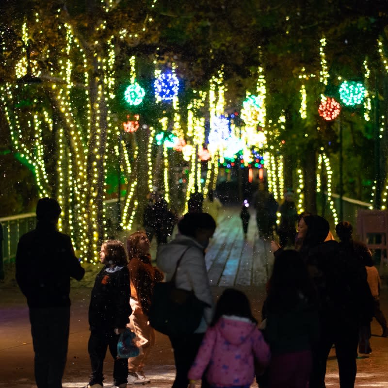 a bridge decorated with lots of Christmas lights and families on it