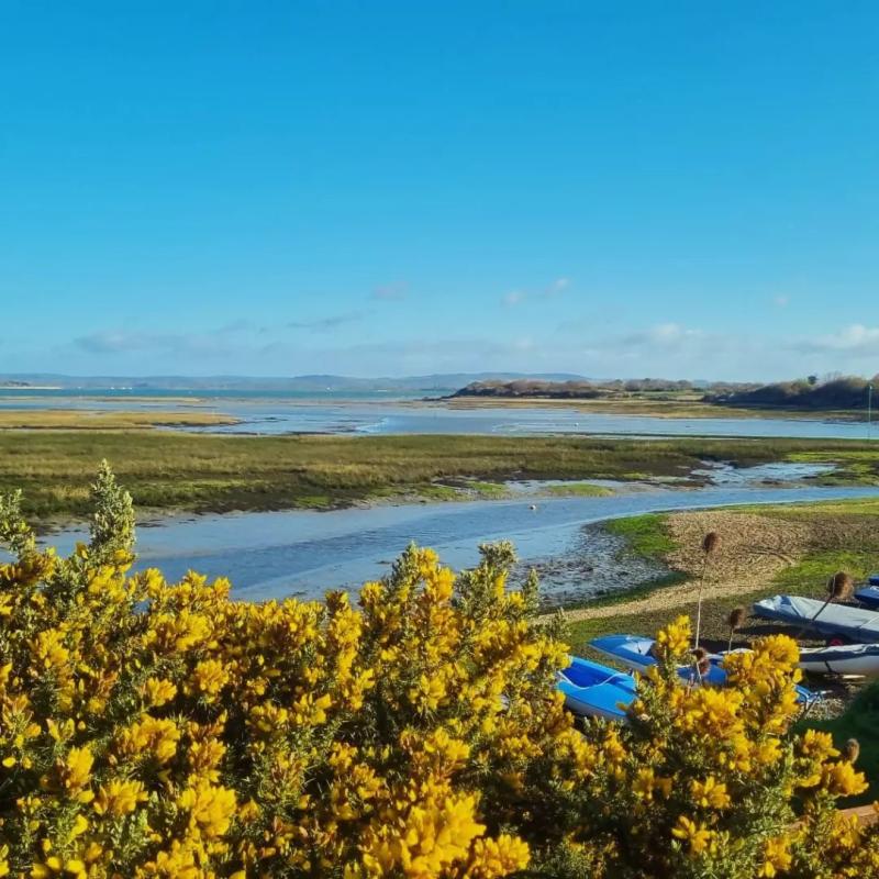 view over snowhill creek at West Wittering