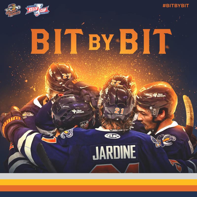 Greenville Swamp Rabbits: Video Game Night — OT Sports