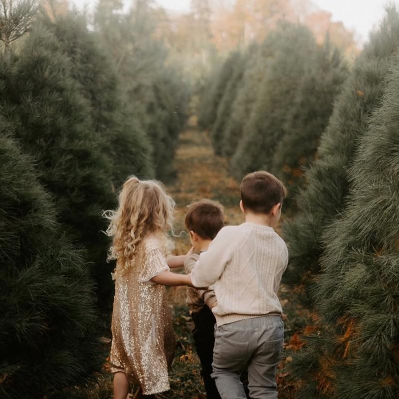 Oak Hill Tree Farm, Crawfordsville