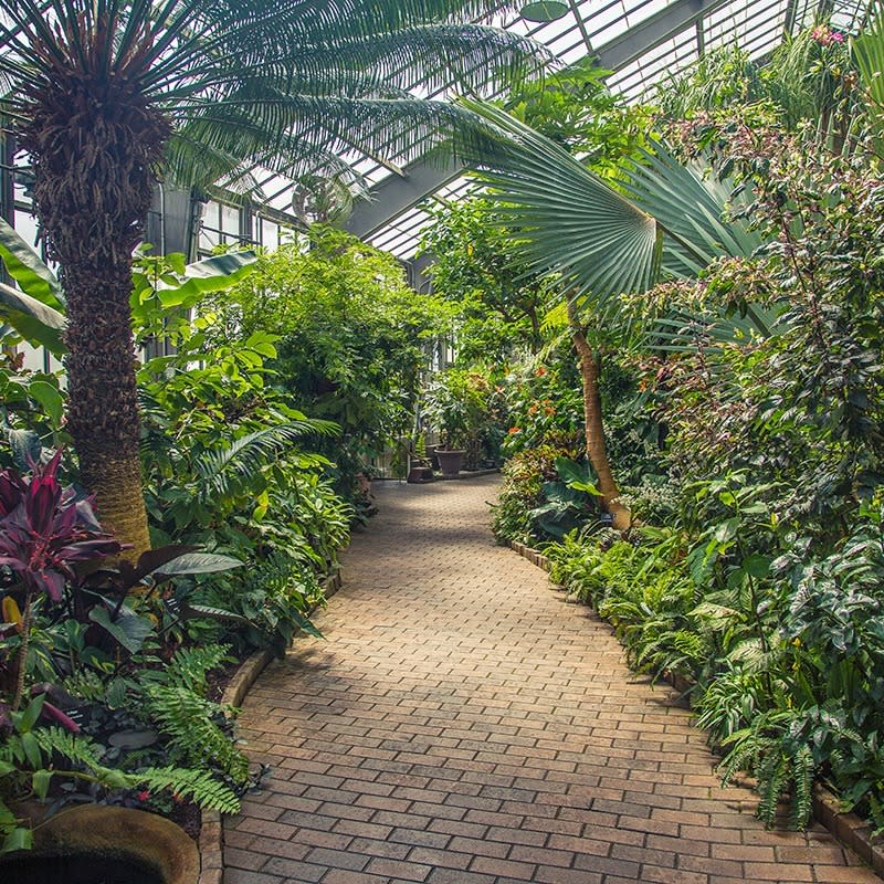 Garfield Park