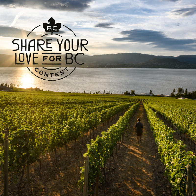 Share Your Love for BC Contest Asset