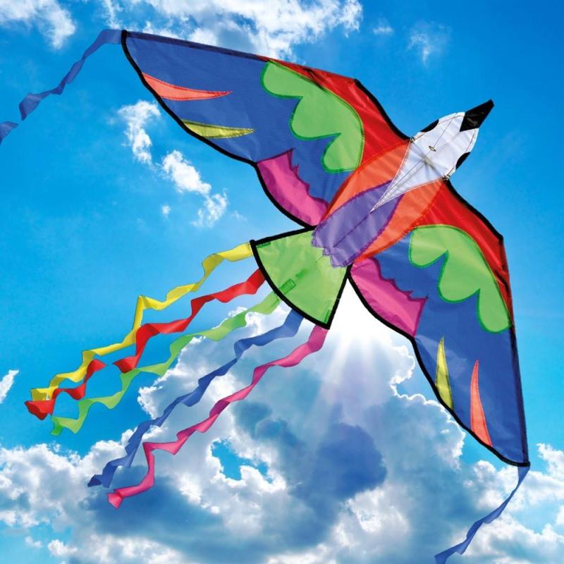 kite flying in the sky