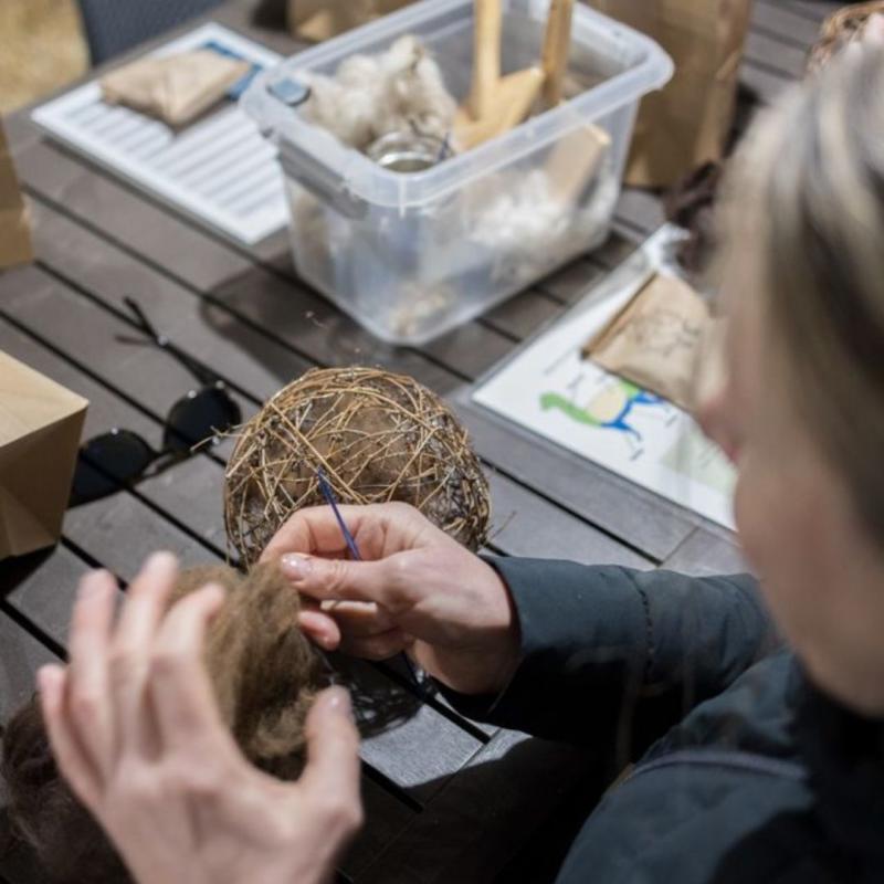 Alpaca Fibre experience
