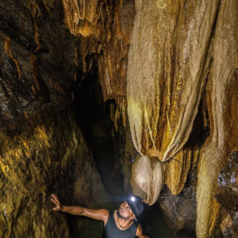 nivida-bat-cave-bastimentos-bocas-del-toro-province