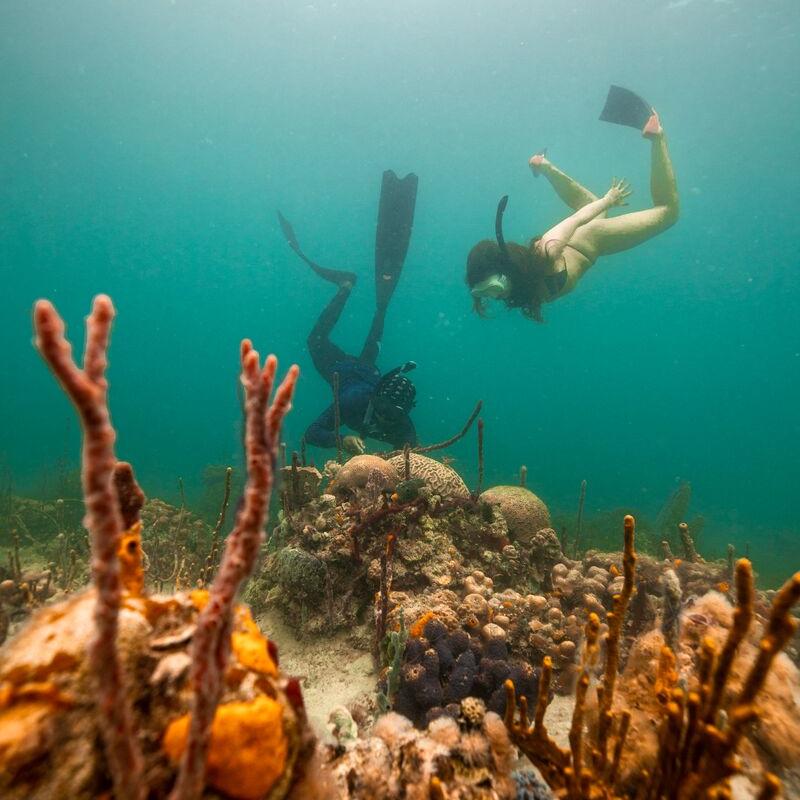 Two divers exploring the coral reef on Caribbean Panamanian beach at Punta Hospital
