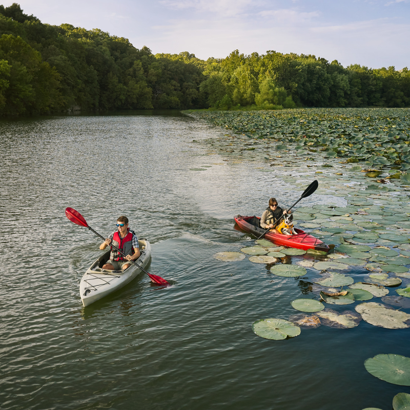 People kayaking on a lake.