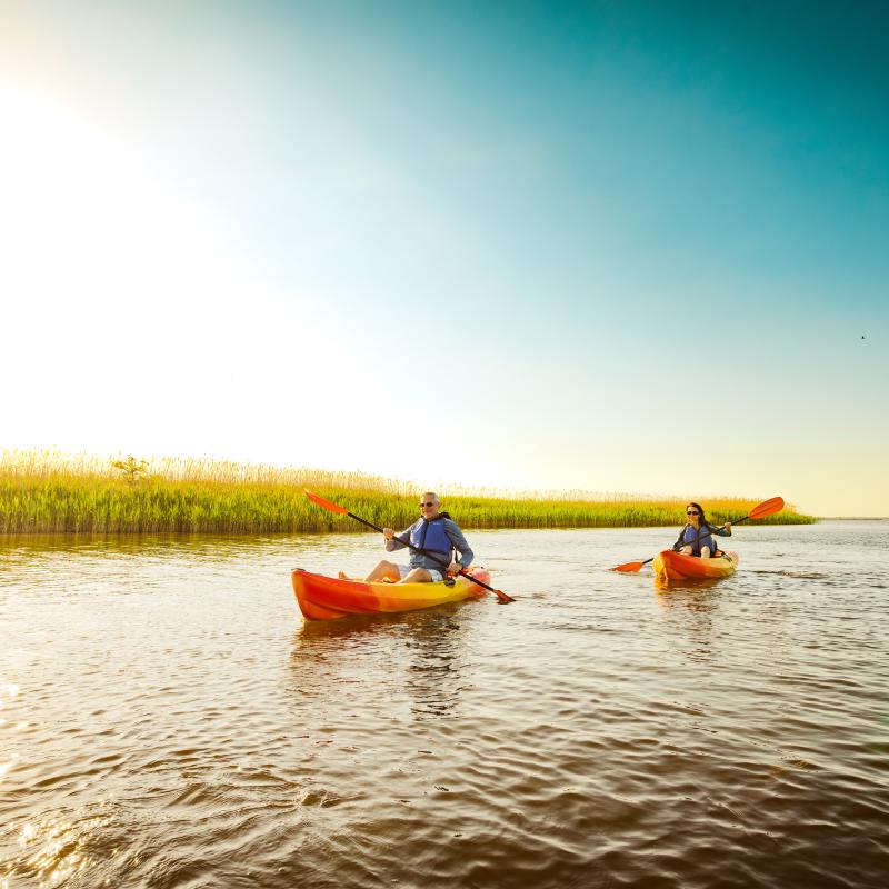 two people kayaking near tall grass