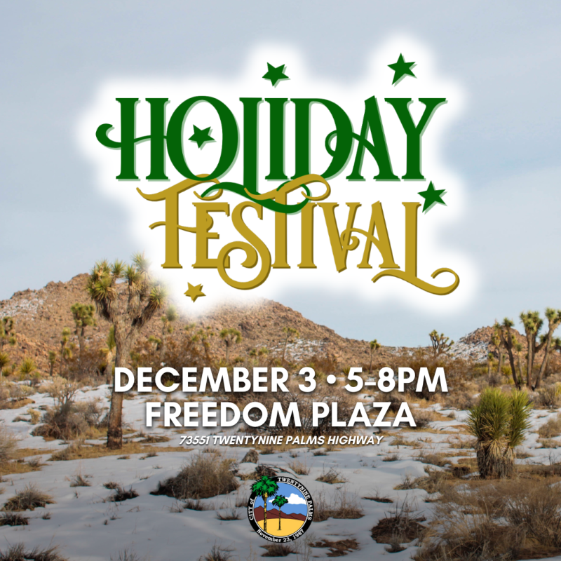 Holiday Festival at Freedom Plaza