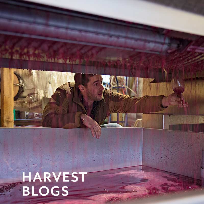 Harvest Blogs