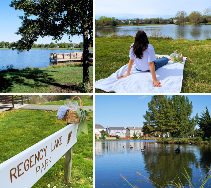 Collage of four images at Regency Lake Park: A scenic shot of the fishing pier, a young woman on a picnic blanket in front of the lake, a sign reading Regency Lake Park with a picnic basket on top, geese floating in the lake