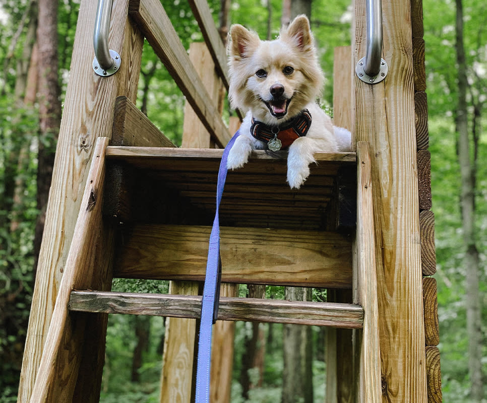 Sunset Hill Bentley on the playground