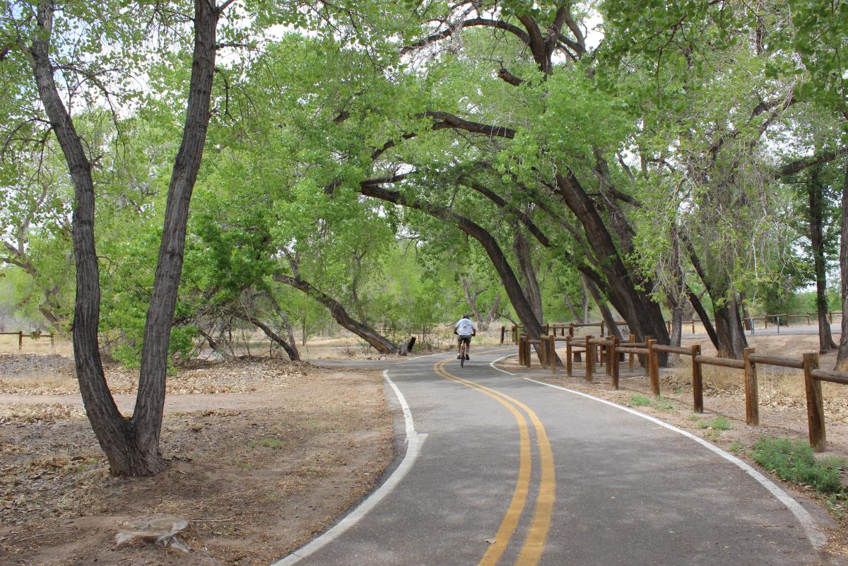 Bosque Cycling