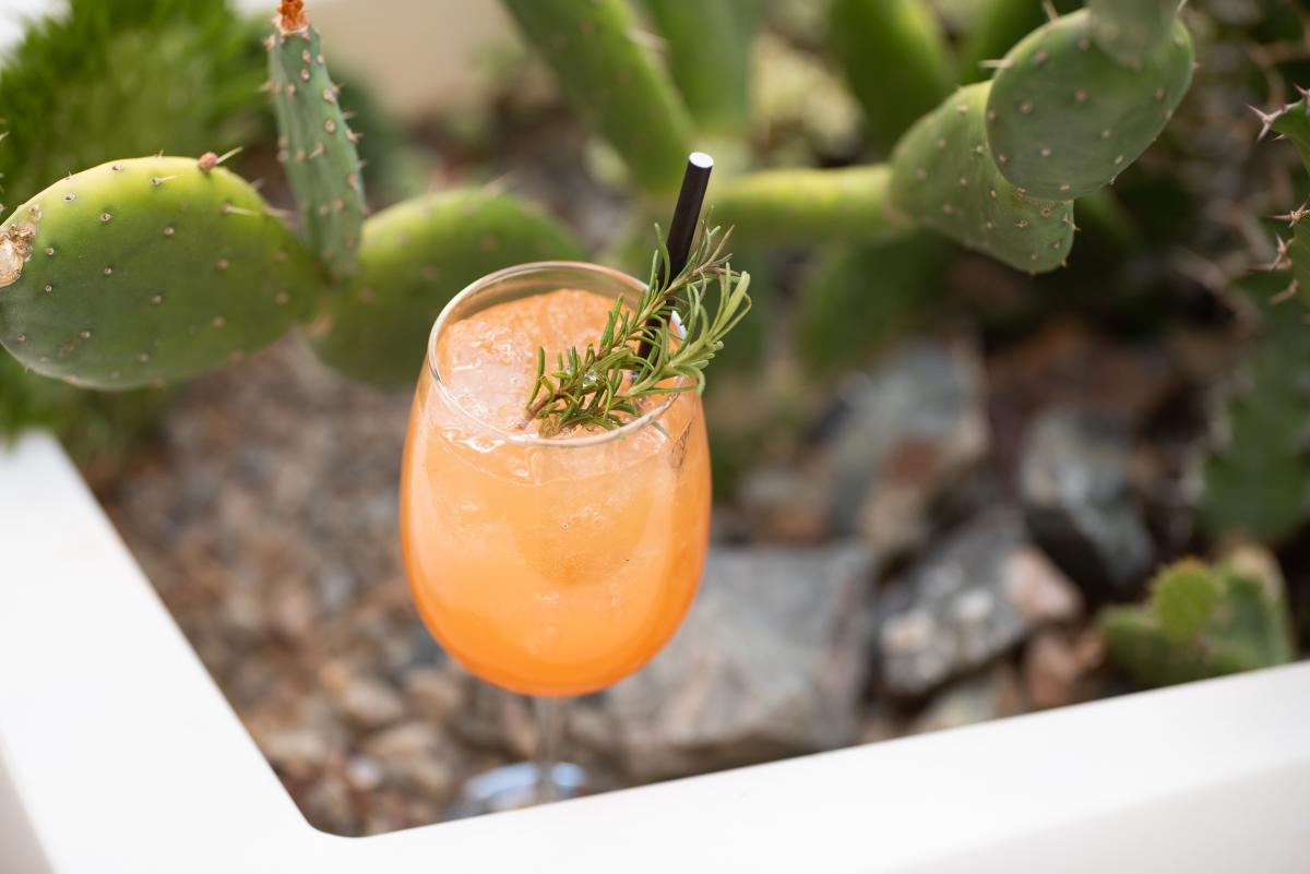 Mountain Shadows Succulents & Sips