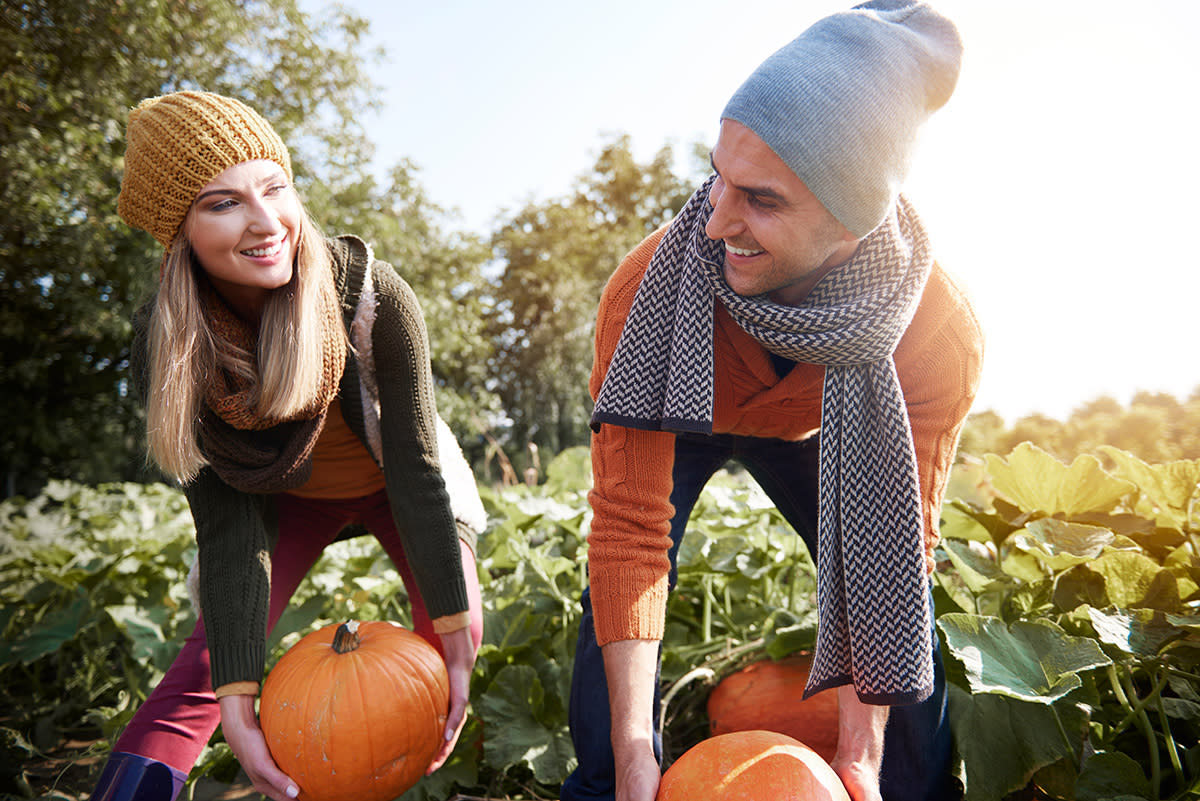 Seasonal Pumpkin Patches in OC