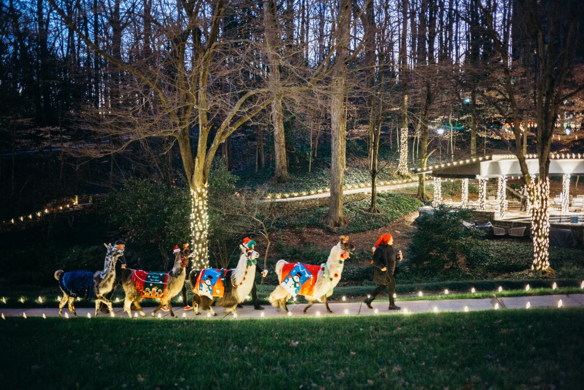 Ravinia Holiday Lights Llama