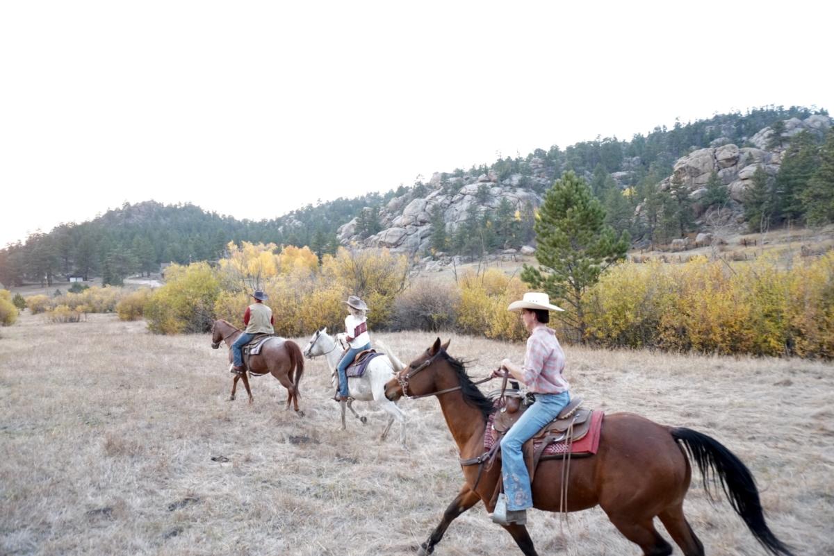 Three people riding their horses at a canter through a dry meadow