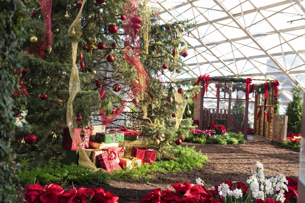 Holiday exhibit at the Botanical Conservatory in downtown Fort Wayne