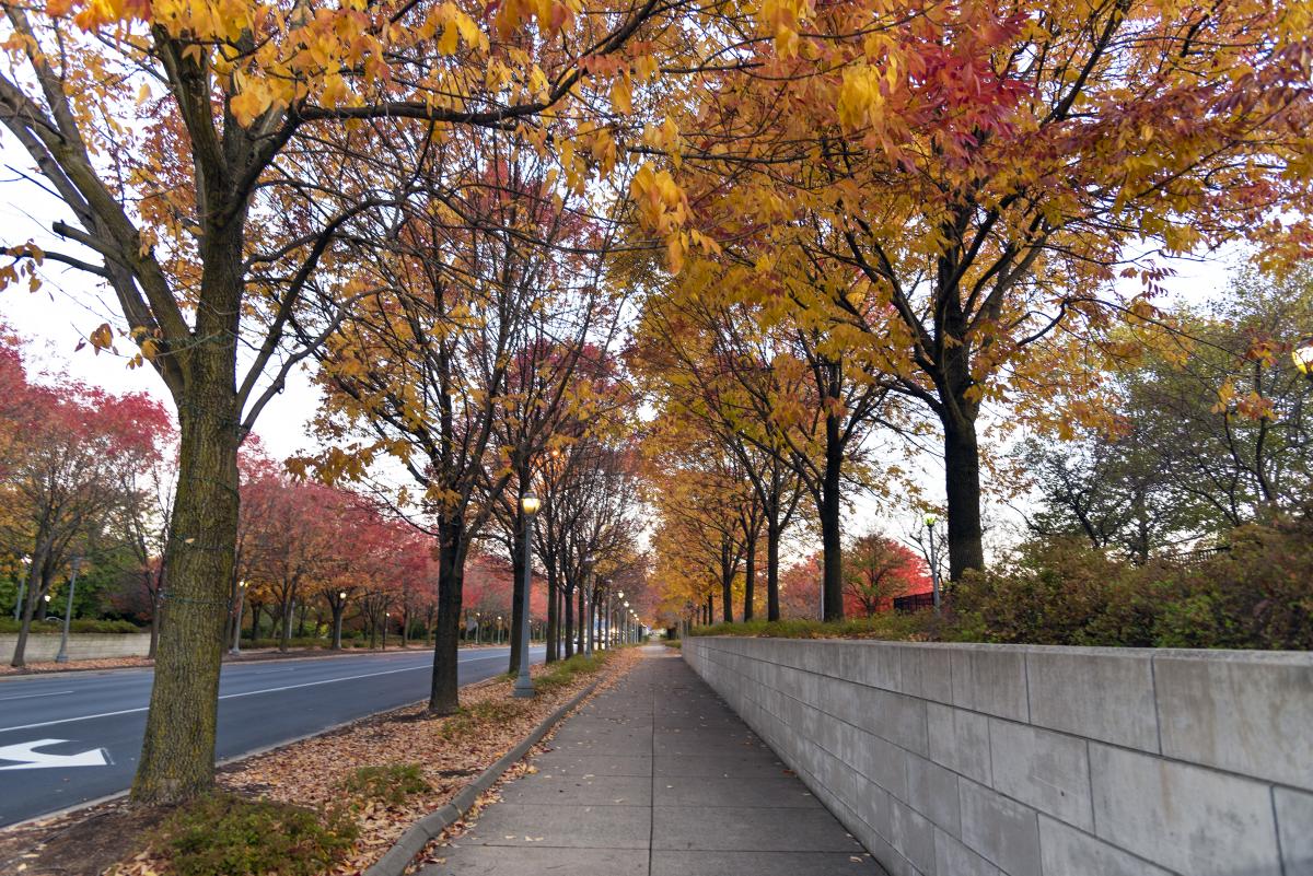 Fall red foliage along Clinton Street at Headwaters Park in Fort Wayne.