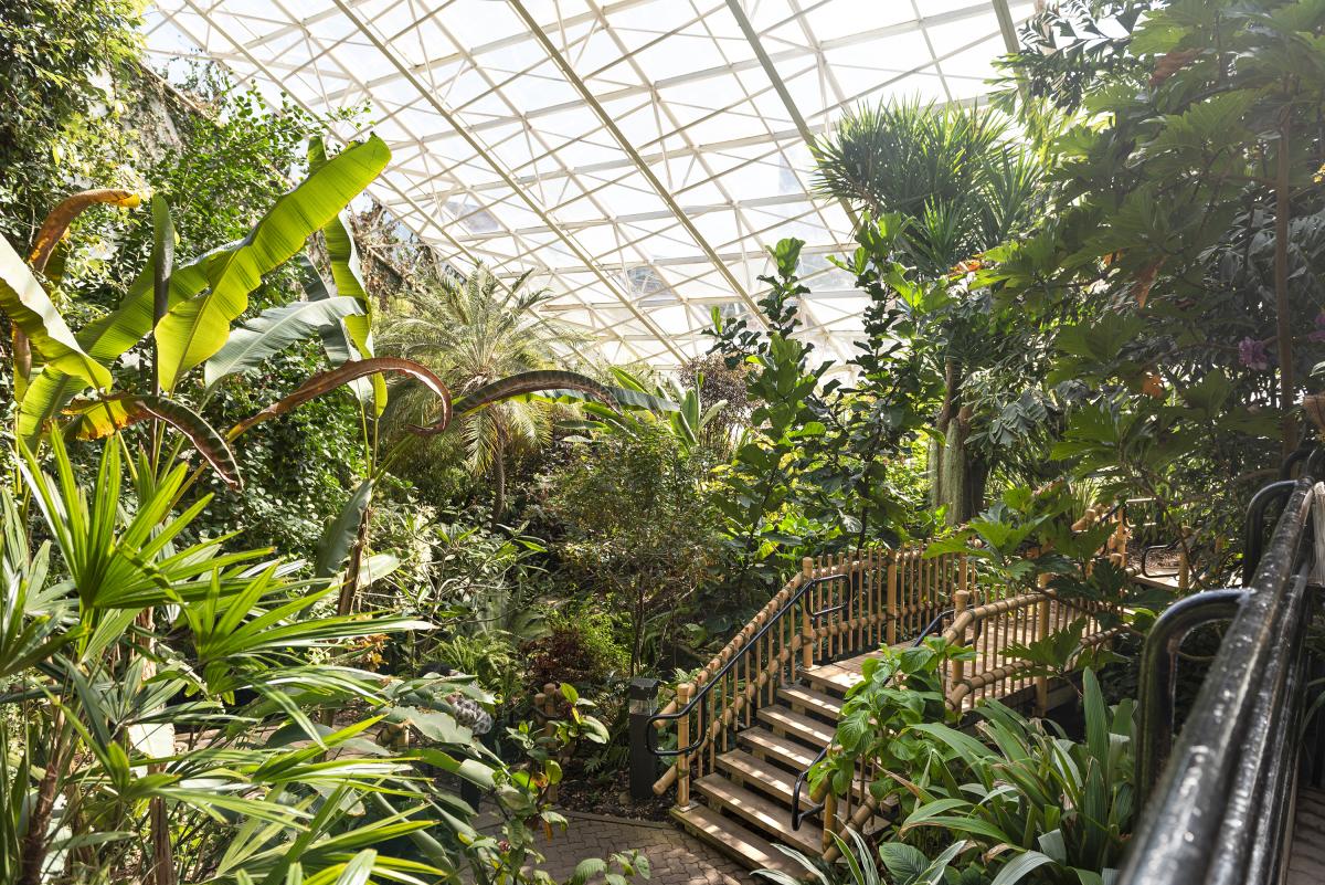 The indoor Tropical Gardens at the Botanical Conservatory in Fort Wayne
