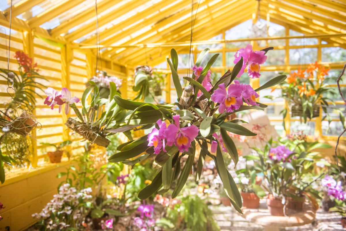 Bonnet House