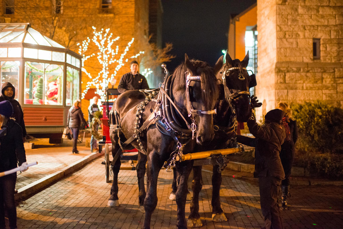 horse and carriage rides