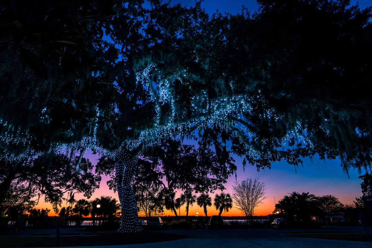 Christmas lights on Jekyll Island are a favorite annual holiday tradition