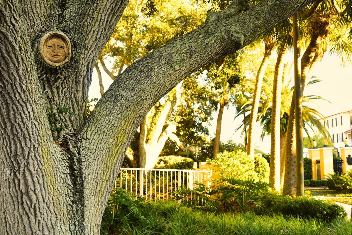 The King and Prince Resort is home to one of the new St. Simons Island Tree Spirits