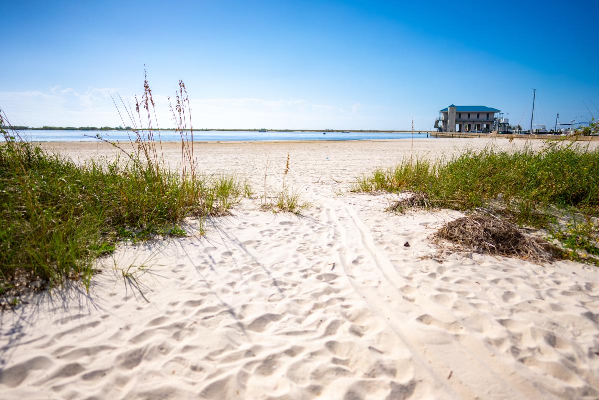 Coastal Mississippi Beach