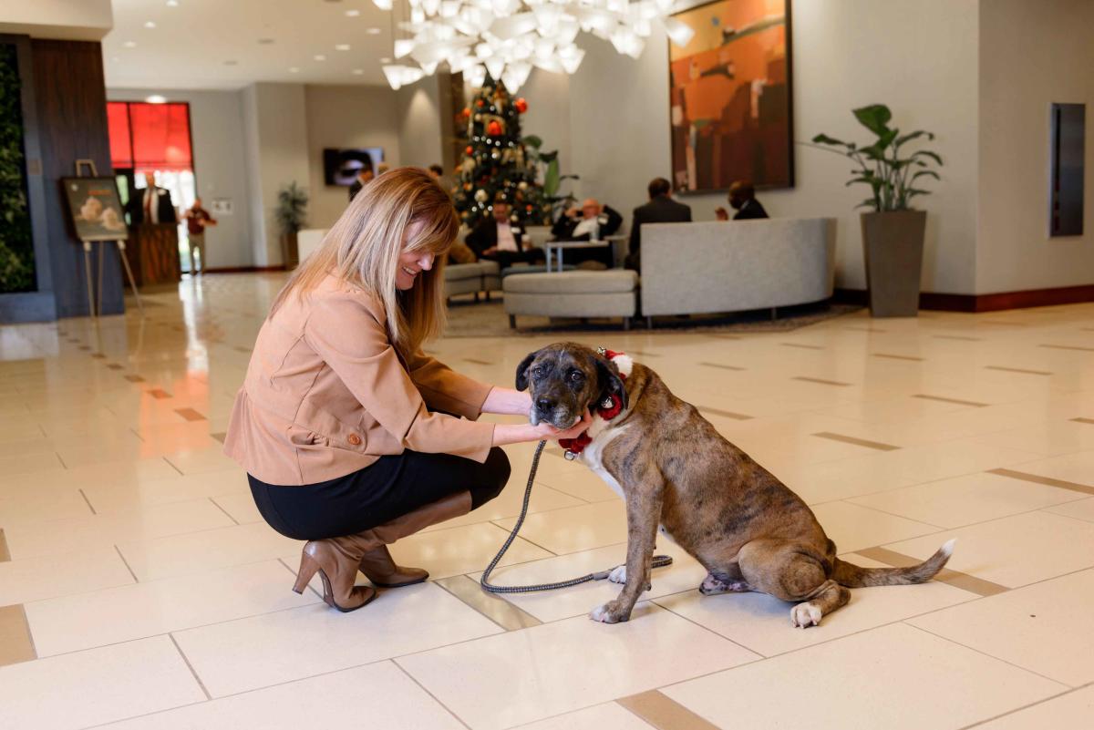 Sid at Westin - Santa Paws