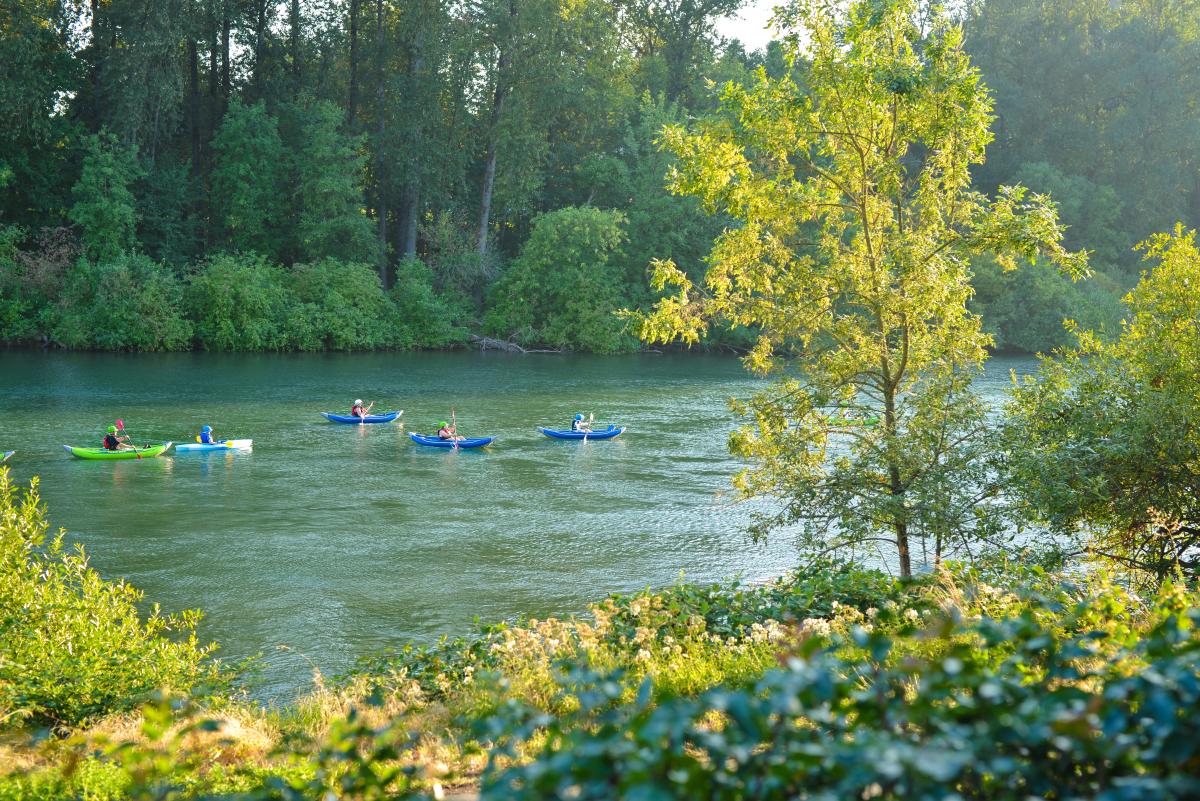 Kayaking the Willamette River