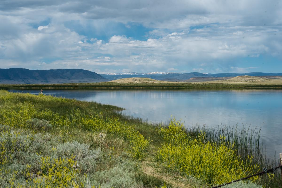 Meeboer Lake, Laramie Plains Lakes