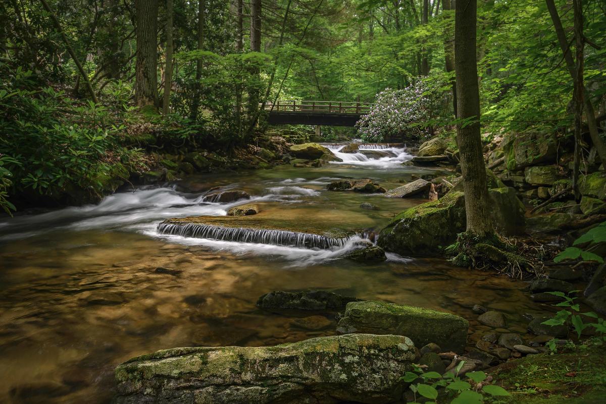 Linn Run State Park