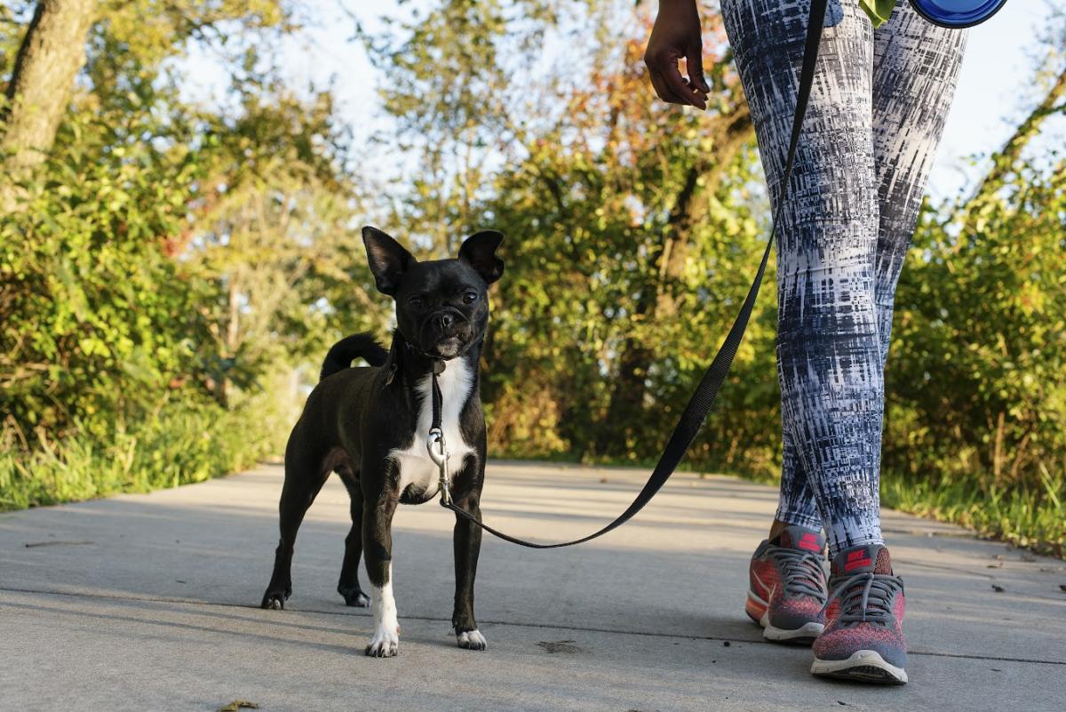 Frankie on the Lawrence Loop