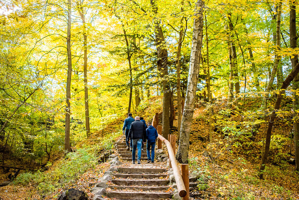 Seven Bridges Fall Family