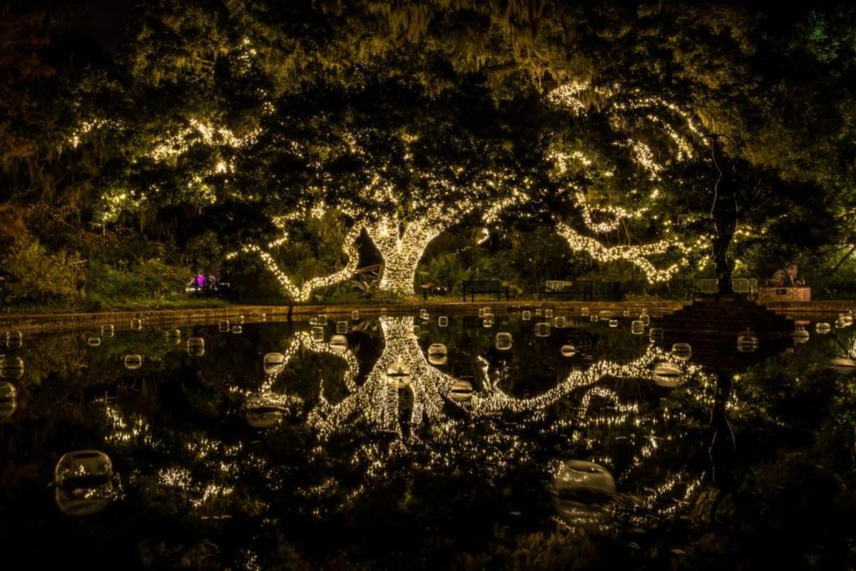 Where To See Christmas Lights In Myrtle Beach