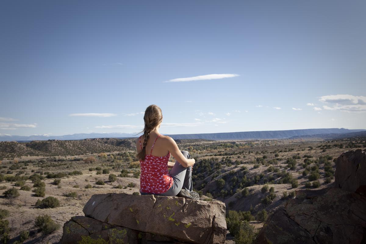 A person sits on a rock overlooking an expansive desert landscape