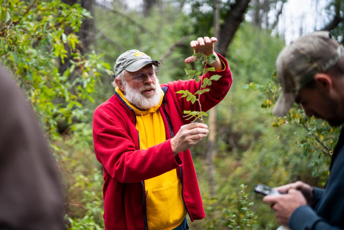 William Norris explains a woody plant species to his dendrology students